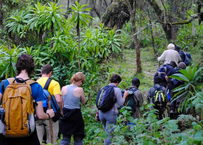 7-days-rwanda-gorilla-safari