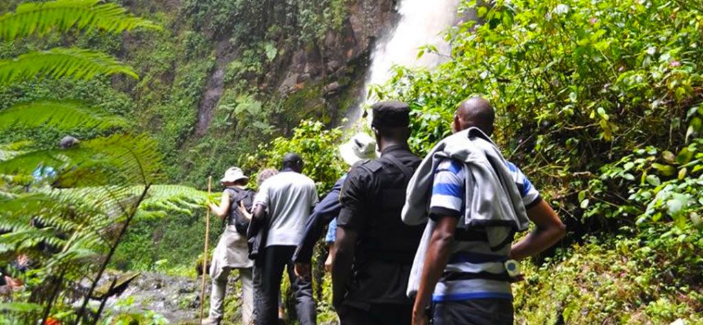 hiking-and-nature-trails-in-nyungwe-forest-national-park
